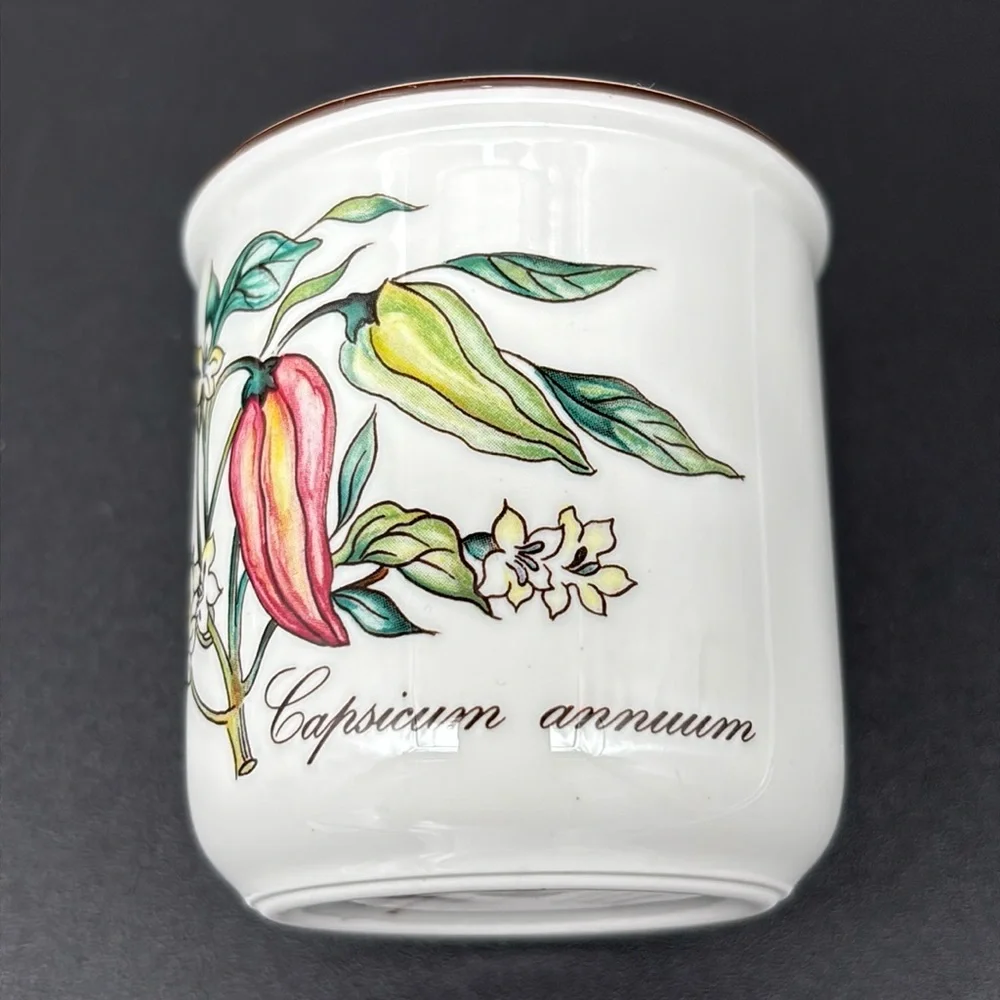 Villeroy & Boch Porcelain Botanical Capsicum Annuum Spice Jar